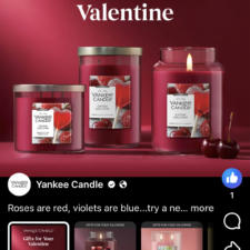 Cypress & Amber 3 wick candle